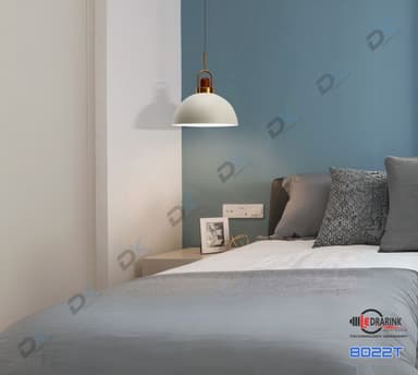 Thả đơn 8022 phi 300 Drarink