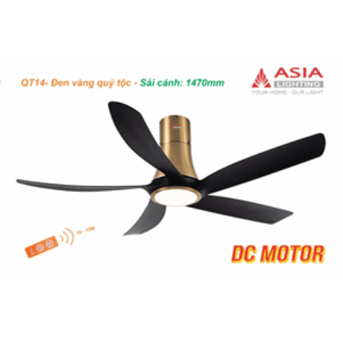 Quạt trần QT14 - đen quý tộc vàng
